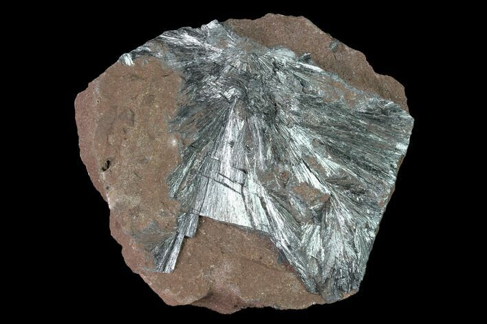 Metallic, Needle-Like Pyrolusite Cystals - Morocco #141007